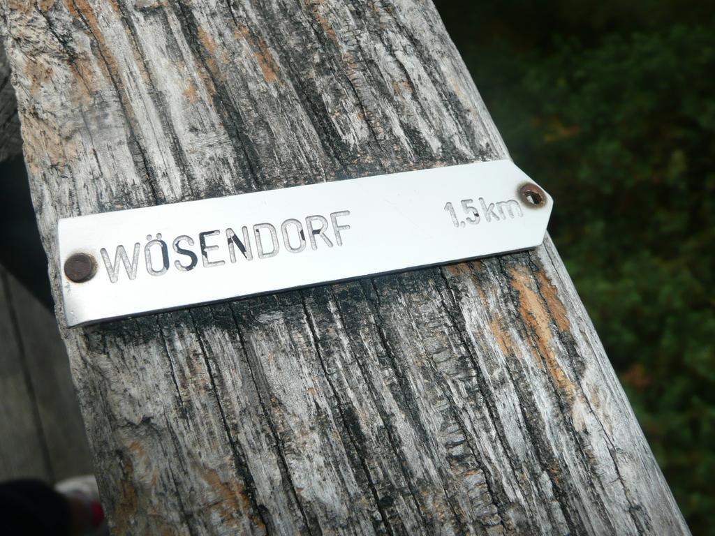 Weingut Langmayer Wosendorf in der Wachau Exterior photo